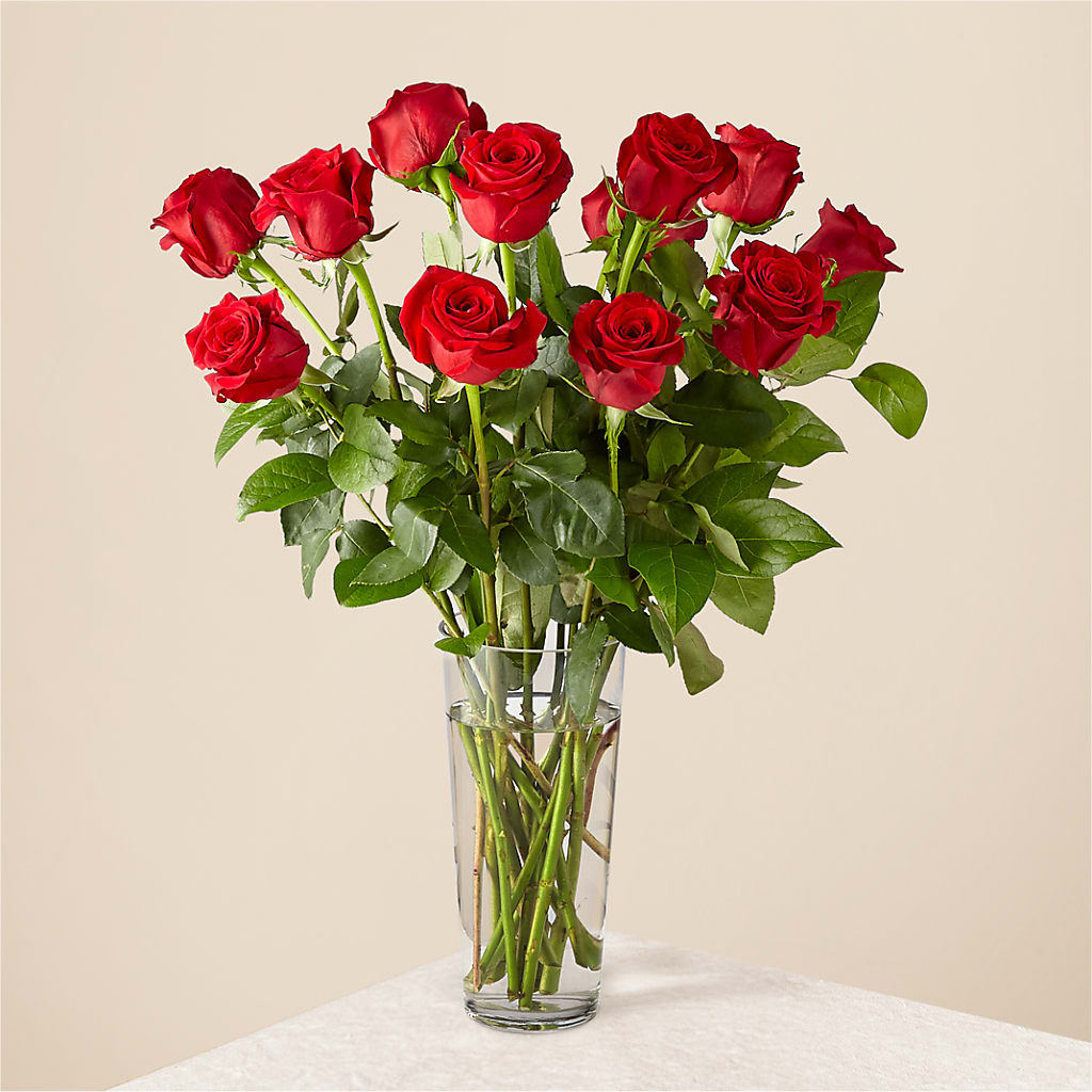 Long Stem Red Rose Bouquet – 256 Florals, Huntsville AL