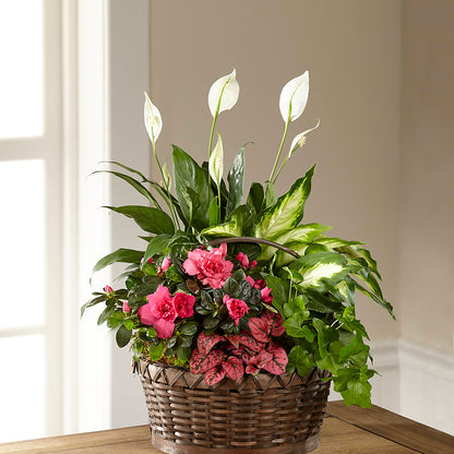 Dream in Pink Dishgarden –  256 Florals, Huntsville AL
