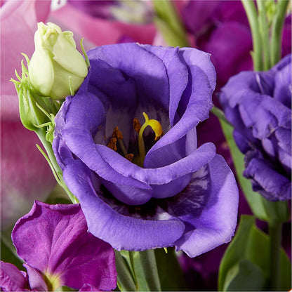 Twilight Glow Bouquet –  256 Florals, Huntsville AL