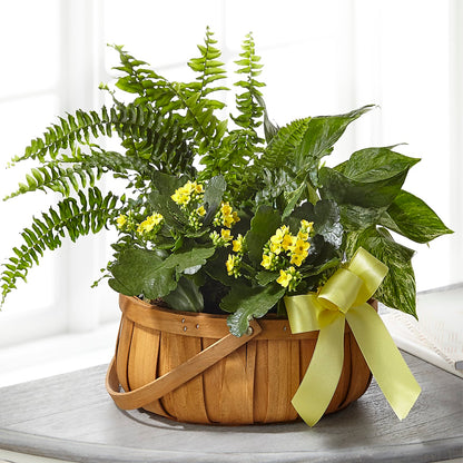 Always Dear Dishgarden –  256 Florals, Huntsville AL