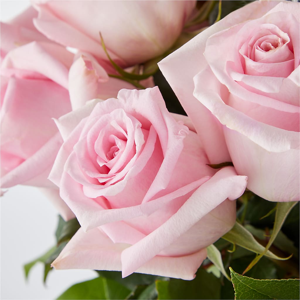 Picture Perfect Pink Rose Bouquet –  256 Florals, Huntsville AL