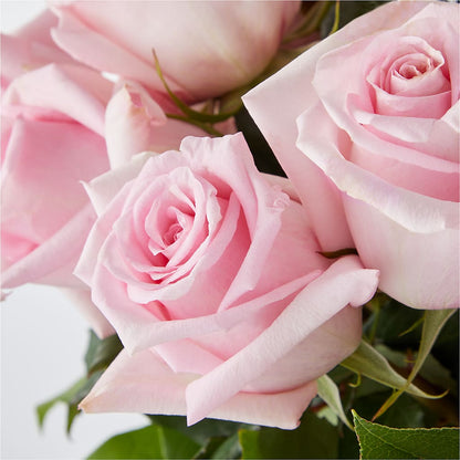 Picture Perfect Pink Rose Bouquet –  256 Florals, Huntsville AL