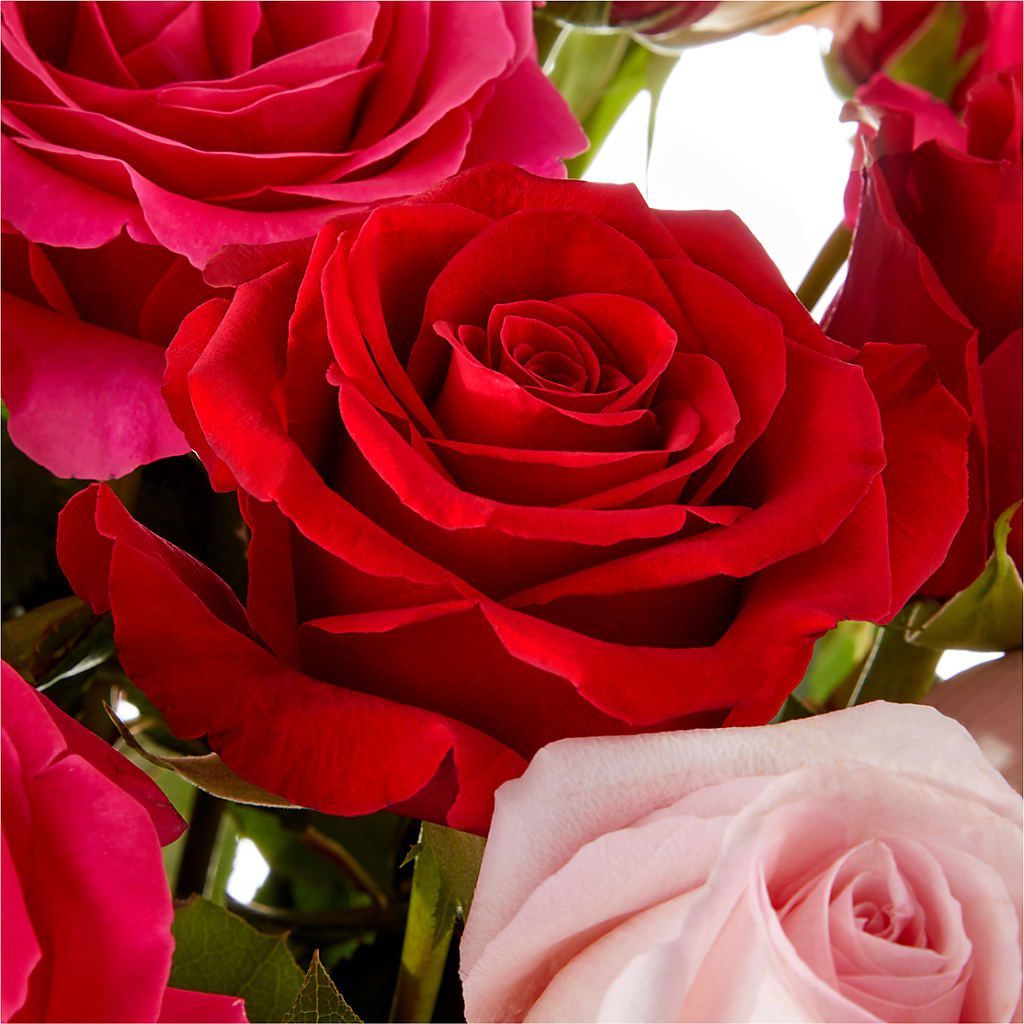 Love Notes Rose Bouquet –  256 Florals, Huntsville AL
