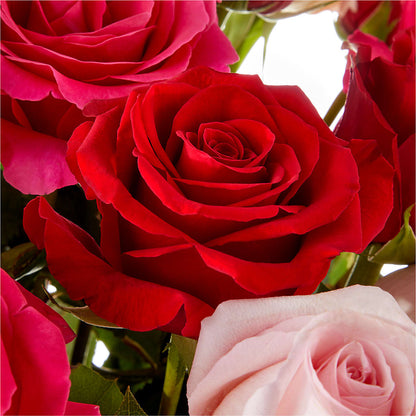 Love Notes Rose Bouquet –  256 Florals, Huntsville AL