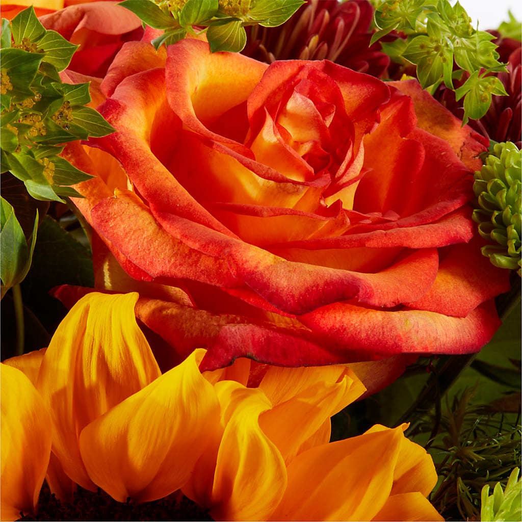 Harvest Festival Bouquet –  256 Florals, Huntsville AL