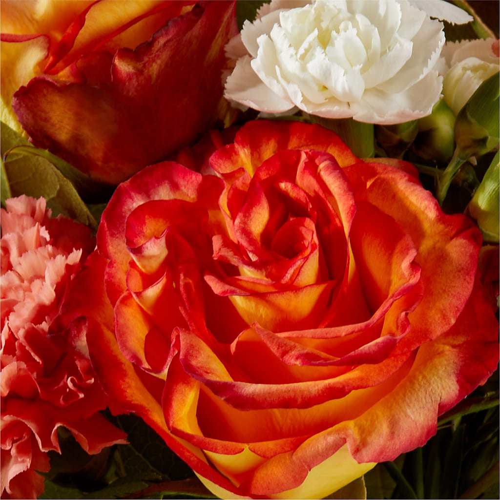 Apricot Glow Bouquet –  256 Florals, Huntsville AL