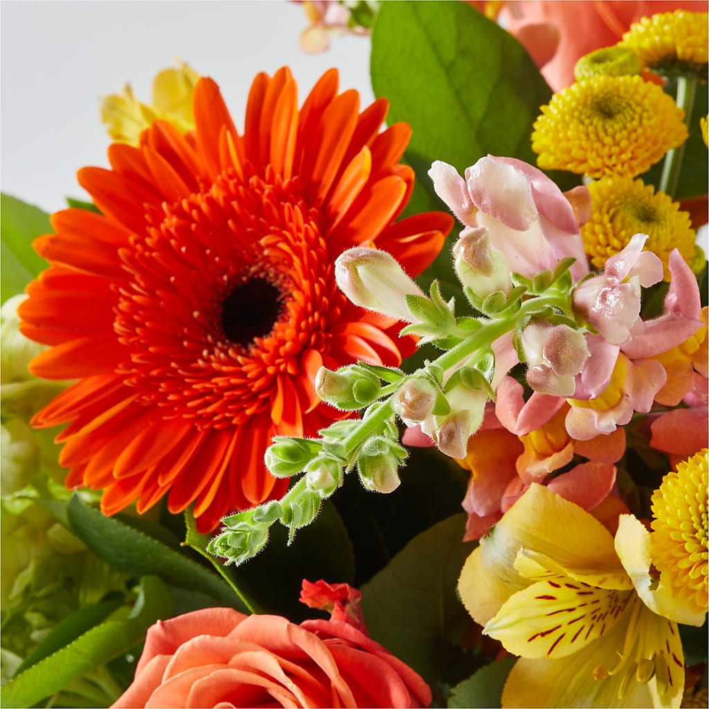 Autumn Sunshine Bouquet –  256 Florals, Huntsville AL