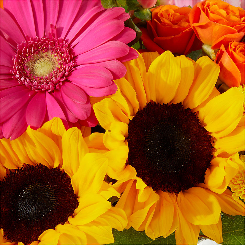 Beach Day Bouquet –  256 Florals, Huntsville AL