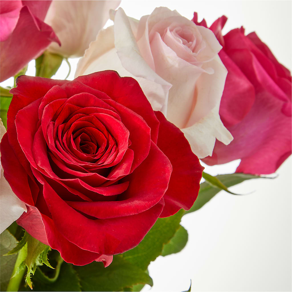 Charming Rose Bouquet –  256 Florals, Huntsville AL