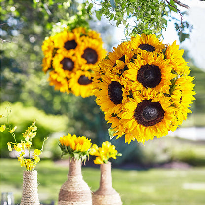 Sublime Garden Hanging Arrangement –  256 Florals, Huntsville AL