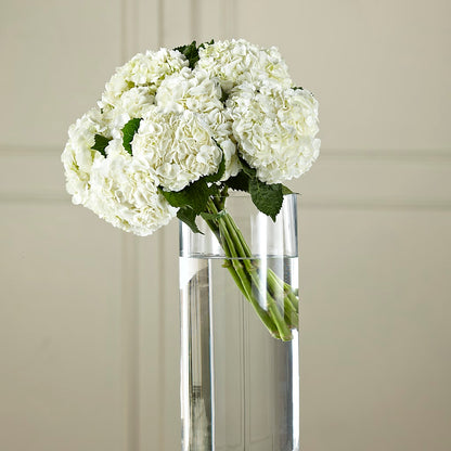 White Hydrangea Hand-Tied Bouquet –  256 Florals, Huntsville AL