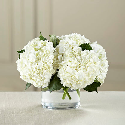 White Hydrangea Bouquet –  256 Florals, Huntsville AL